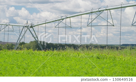 An Irrigation System Operating Over Lush and Fertile Green Fields Enhances Productivity and Growth 130649516