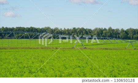 A Beautiful Irrigated Farm Landscape that Features Automated Systems for Enhanced Productivity 130650128