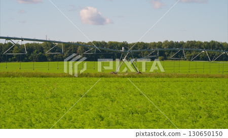 The Automated Irrigation System designed for use in various Agricultural Fields and settings 130650150
