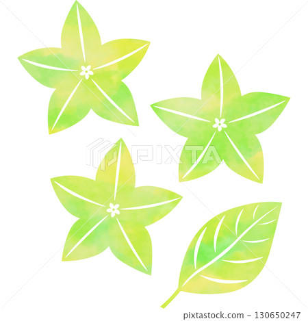 Beautiful watercolor bellflower icon image illustration 130650247