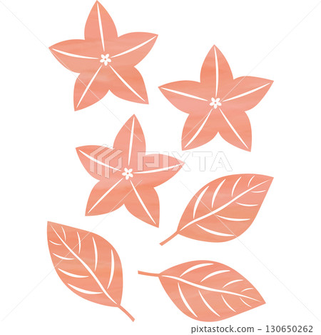 美麗的水彩畫風鈴草圖示圖像插圖 130650262