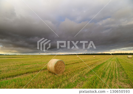 A Beautiful Scenic Agricultural Landscape with Hay Bales Set Beneath Dramatic Clouds Above A Beautiful Scenic Agricultural Landscape with Hay Bales Set Beneath Dramatic Clouds Above 130650593
