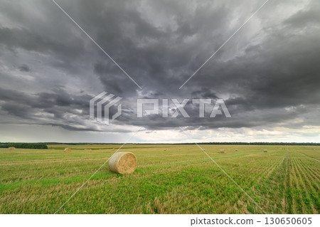 A Dramatic Sky Over Open Fields adorned with a Hay Bale creating a stunning scene 130650605