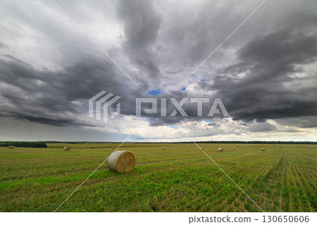 Majestic and Dramatic Skies Over a Beautiful Farm Field Filled with Hay Bales Abundantly Majestic and Dramatic Skies Over a Beautiful Farm Field Filled with Hay Bales Abundantly 130650606