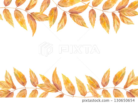 Horizontal border of golden autumn leaves. Fall ash or walnut branches watercolor illustration on isolated background. Foliage frame for botanical design, holiday greeting card. Empty space for text 130650654