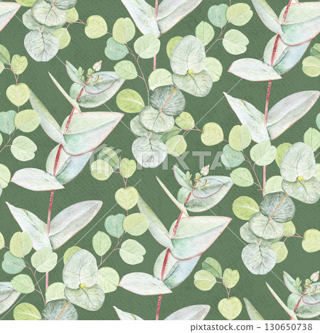 Eucalyptus branch with pointed leaves watercolor seamless pattern on textured green background. Hand-painted art ideal for textile, natural cosmetics branding, packaging, fabric, eco decor, stationery 130650738