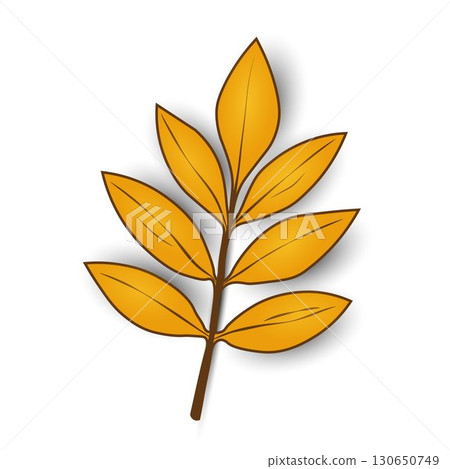 A yellow, autumn leaf with streaks and shadow highlighted on a white background. A yellow, autumn leaf with streaks and shadow highlighted on a white background. 130650749