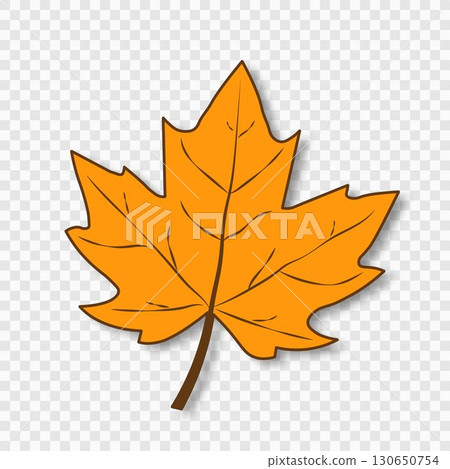 An orange, fallen maple autumn leaf with veins highlighted on a transparent background. An orange, fallen maple autumn leaf with veins highlighted on a transparent background. 130650754