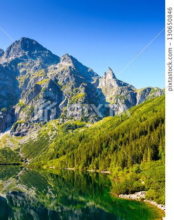 alpine landscape with lake in summer. beautiful poland nature in high tatra mountains for travel. blue sky. scenery reflection in transparent pond water alpine landscape with lake in summer. beautiful poland nature in high tatra mountains for travel. blue sky. scenery reflection in transparent pond water 130650846