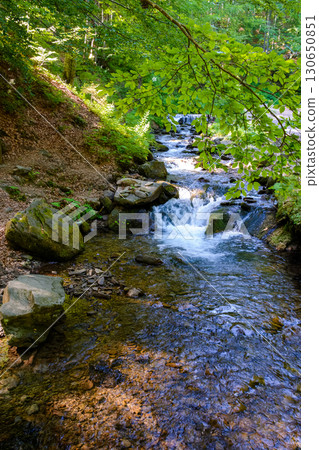 shypit water stream in the dense forest. scenic green environment of ukraine woodland in summer. beautiful nature scenery. freshness of woods on a sunny mooring shypit water stream in the dense forest. scenic green environment of ukraine woodland in summer. beautiful nature scenery. freshness of woods on a sunny mooring 130650851
