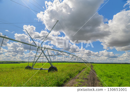The Irrigation System Working Efficiently in the Lush Green Fields Under the Clear Blue Sky The Irrigation System Working Efficiently in the Lush Green Fields Under the Clear Blue Sky 130651001