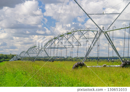 The modern irrigation system spreads over the lush green fields beneath the bright blue sky The modern irrigation system spreads over the lush green fields beneath the bright blue sky 130651033