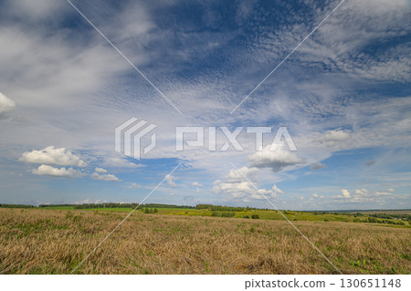 A Vast Open Field Displaying Under a Clear Blue Sky Adorned with Soft, White Clouds 130651148