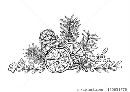Christmas decoration vector isolated illustration. Dried orange slice, star anise, berry plant, spruce branch, pinecone outline engraving line art. Winter graphic sketch for Xmas packaging, invitation 130651776