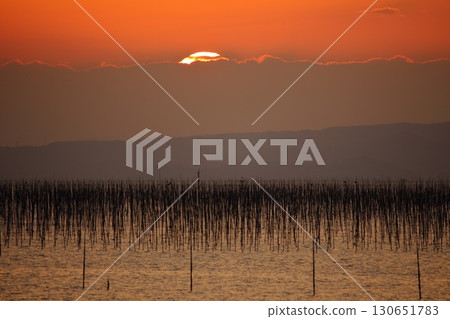 Omuta City, Ariake Sea, Nori field, New Year's Day dusk, Omuta City, Ariake Sea, Nori field, New Year's Day dusk, 130651783