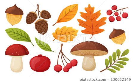 Autumn set with leaves, mushrooms, berries and acorns 130652149