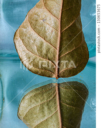 A green bottle and Laurel leaf A green bottle and Laurel leaf 130653675