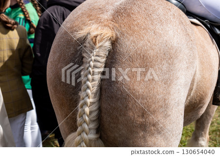 Braided horse tail in County Donegal, Ireland Braided horse tail in County Donegal, Ireland 130654040