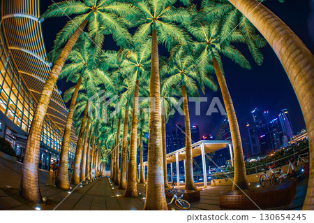 新加坡夜景和棕櫚樹 130654245