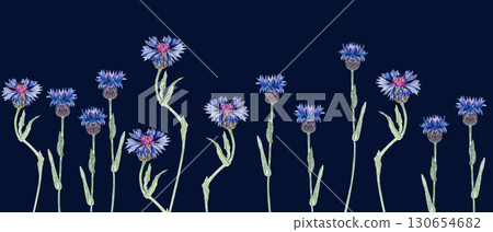 Blooming knapweed flowers in vivid blue and purple shades. Seamless watercolor border isolated on dark blue background, perfect for botanical patterns, invitations, packaging, and rustic summer 130654682