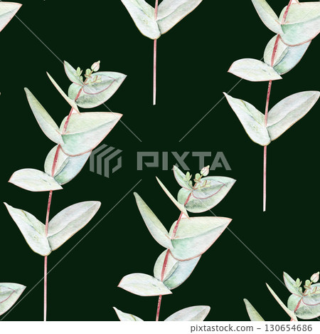 Eucalyptus branch with pointed leaves watercolor seamless pattern on dark green background. Hand-painted art ideal for textile, natural cosmetics branding, packaging, fabric, eco decor, stationery 130654686