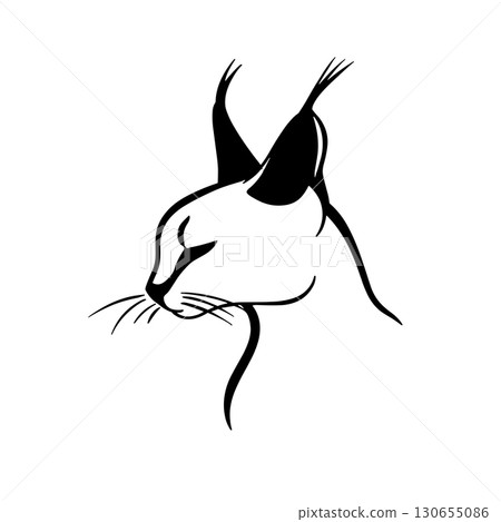 Caracal. Caracal simple black and white line art vector logo 130655086