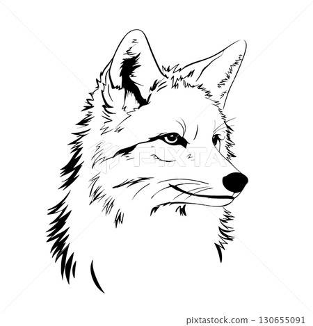 Coyote. Coyote simple black and white line art vector logo 130655091