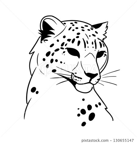 Snow Leopard. Snow Leopard simple black and white line art vector logo Snow Leopard. Snow Leopard simple black and white line art vector logo 130655147