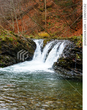 autumn scenery with waterfall. stones seen through transparent water. orange foliage on the hill. cascades of the river turychka in fall season. overcast weather. travel destination of transcarpathia 130655182