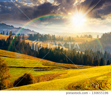forest on grassy hill in autumn at sunset. beautiful rural scenery with rolling pasture. mountainous countryside in evening light. warm october weather 130655196