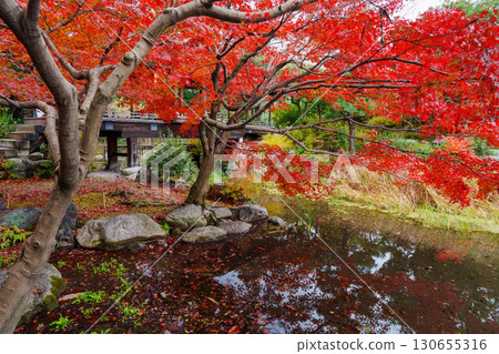 Kyoto Shosei-en Garden Tanpukei Valley, Ingetsu Pond's Sensetsu Bridge 130655316
