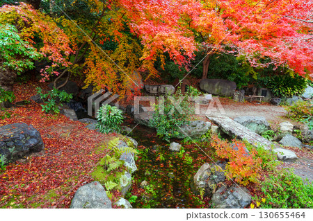 Tanpu Valley in Shosei-en Garden, Kyoto 130655464