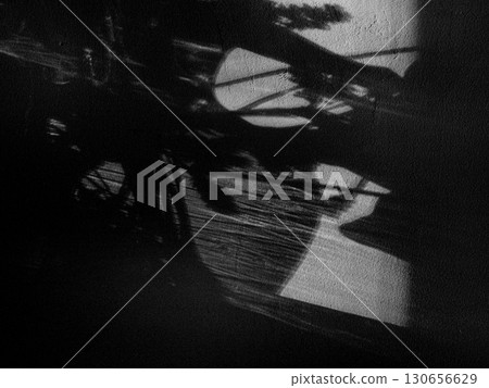 A bouquet of dried flowers like a shadow on the wall 130656629