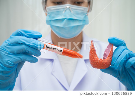 Doctor holding thyroid gland model and blood sample test tube in laboratory. Doctor holding thyroid gland model and blood sample test tube in laboratory. 130656889