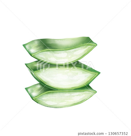 Hand-drawn illustration of three stacked aloe vera leaves, perfect for natural beauty and health themes Hand-drawn illustration of three stacked aloe vera leaves, perfect for natural beauty and health themes 130657352