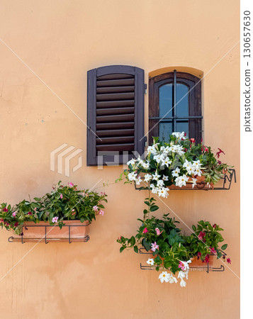 Flower boxes filled with colorful blooms adorn a rustic wall with an open wooden shutter. The arrangement of pink, red, and white flowers enhances the charm and character of the setting. 130657630