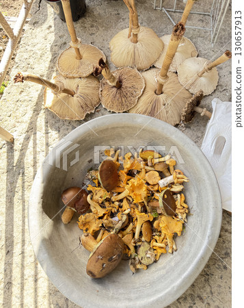 Various edible mushrooms collected in the forest. High-Angle Shot.  130657913