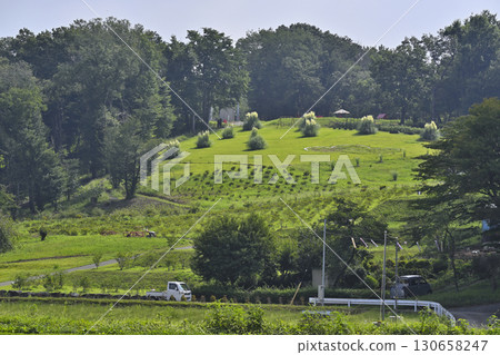 里山風景（埼玉縣鳩山町） 130658247