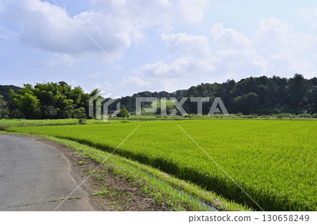 里山風景（埼玉縣鳩山町） 130658249