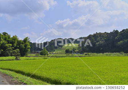 Satoyama scenery (Hatoyama Town, Saitama Prefecture) Satoyama scenery (Hatoyama Town, Saitama Prefecture) 130658252