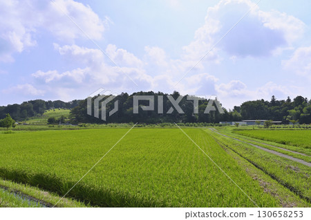 Satoyama scenery (Hatoyama Town, Saitama Prefecture) 130658253