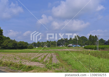 Satoyama scenery (Hatoyama Town, Saitama Prefecture) 130658255