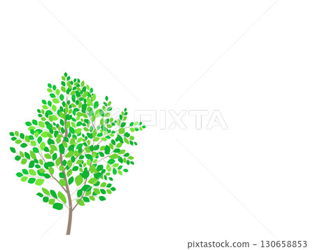 Small leaf tree illustration background material, gentle touch, white background, copy space, png transparent Small leaf tree illustration background material, gentle touch, white background, copy space, png transparent 130658853