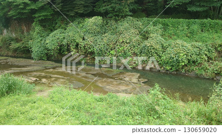 Senoragi of Ogawa Senoragi of Ogawa 130659020