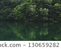樹木倒映在綠水中 130659282