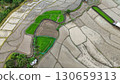 Aerial photograph of rice fields, high-angle drone photography of nature. 130659313