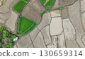 Aerial photograph of rice fields, high-angle drone photography of nature. 130659314