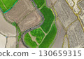 Aerial photograph of rice fields, high-angle drone photography of nature. 130659315