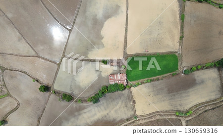 Aerial photograph of rice fields, high-angle drone photography of nature. Aerial photograph of rice fields, high-angle drone photography of nature. 130659316