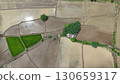 Aerial photograph of rice fields, high-angle drone photography of nature. 130659317